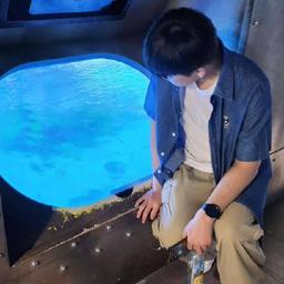 김태은
