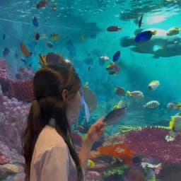 김서연